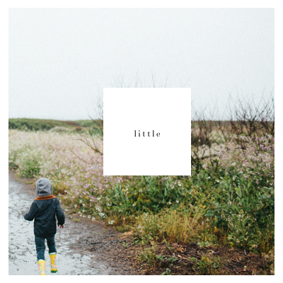 softcover 8.5x8.5 1up box